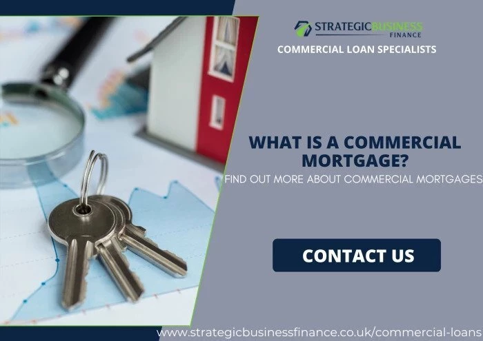 Commercial Loans in 